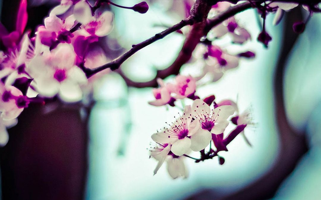 Sit perferendis temporibus nesciunt aut dolorem similique