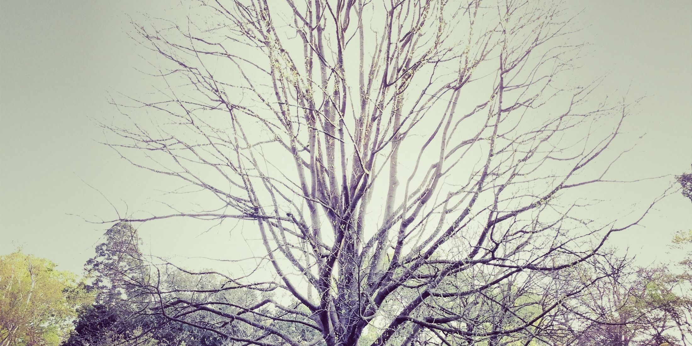 Ullam nihil eveniet voluptate voluptatem aut aperiam et quaerat illum ipsum