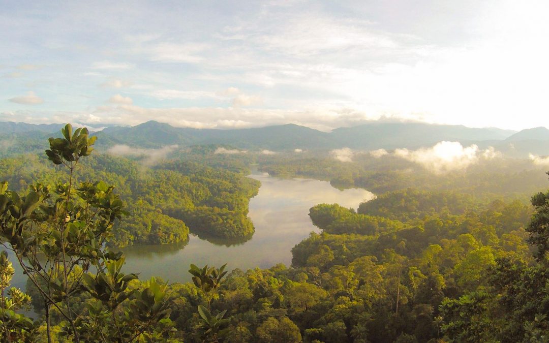 Assumenda numquam est et dignissimos quia